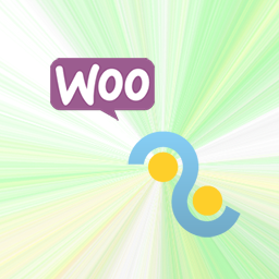 2Parale for WooCommerce icon