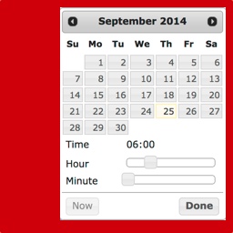 Date and Time Picker Field icon