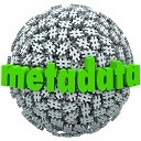 Add Metadata icon