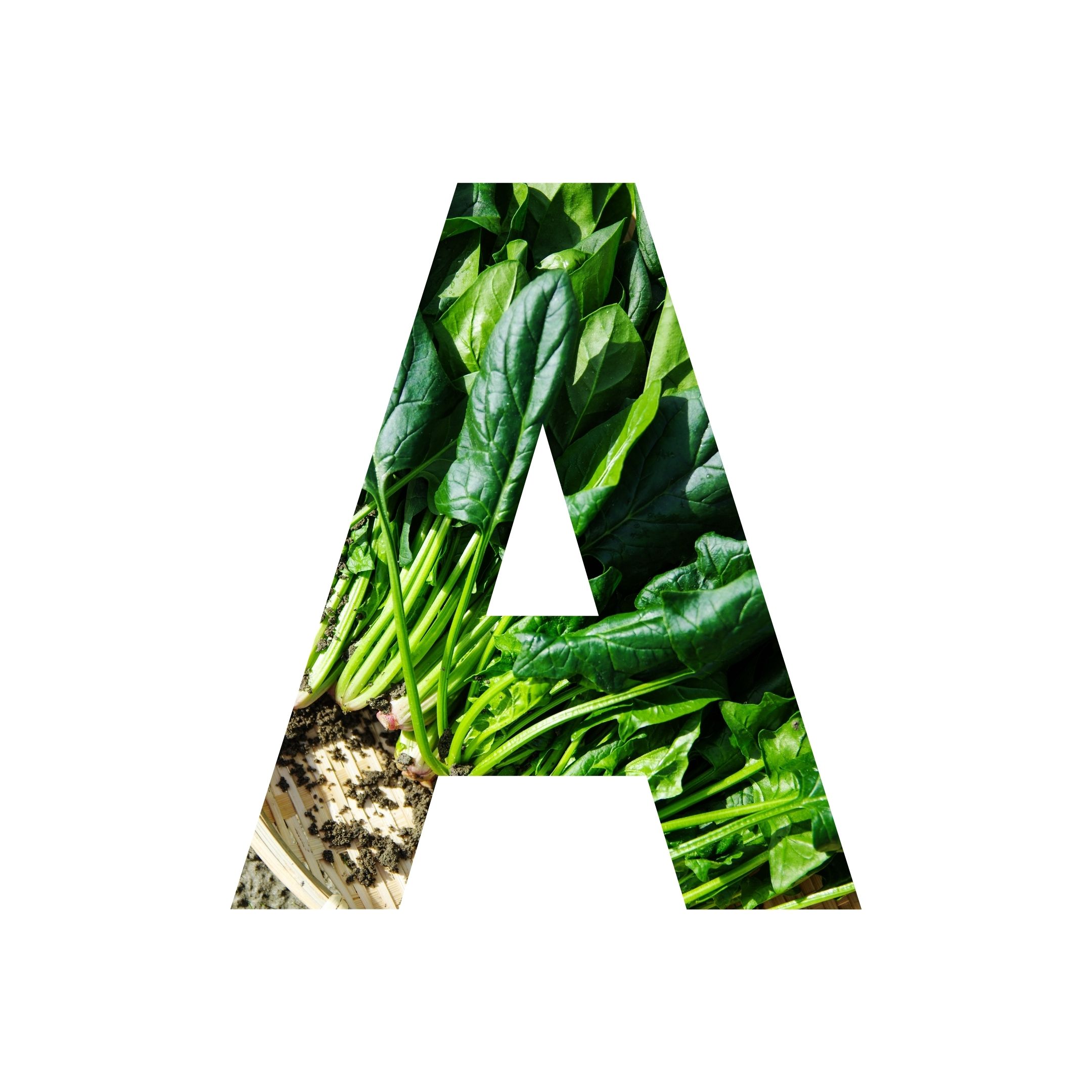 Affiliate Disclosure and Disclaimer – Affylite icon