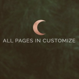 All Pages In Custommize: see all the pages in the Customize preview icon