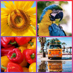 Animated Live Wall – Photo Animation, Feed Gallery Image Change Animation icon