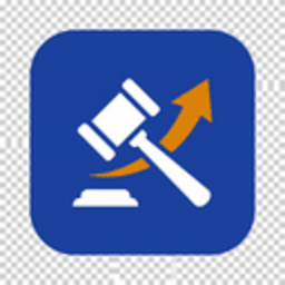AuctionVibe for WooCommerce icon