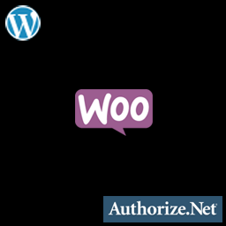 Authorize.Net/eProcessing Network Payment Gateway for WooCommerce icon