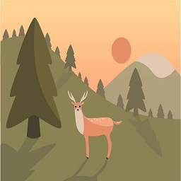 Auto Shadow On Post Images icon