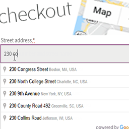 Autocomplete Address and Location Picker for WooCommerce icon