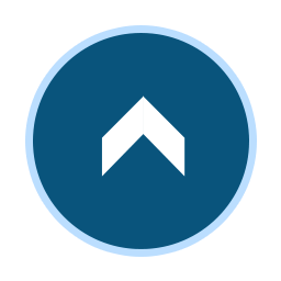 Back To The Top Button icon
