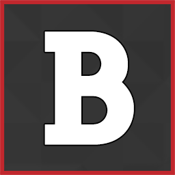 BackUpWordPress icon