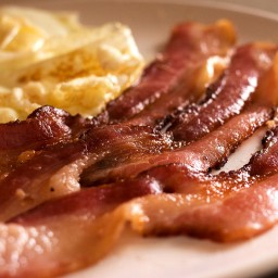 Bacon Ipsum icon