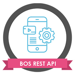 BadgeOS REST API Addon icon