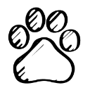 Baidu TextCensor For Comments icon
