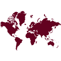 Basic Interactive World Map icon