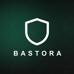 Bastora Security Audit icon