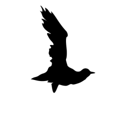 Black Crow (CSS Flying Bird) icon
