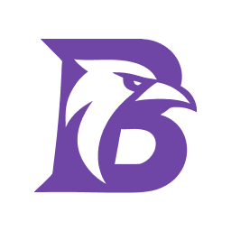 BlackBird Admin icon