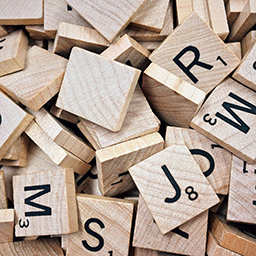 Blocks for Gutenberg icon