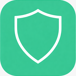 BoonRisk – Site Security Check & Report icon
