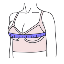 Bra Size Calculator icon