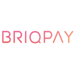 Briqpay for WooCommerce icon