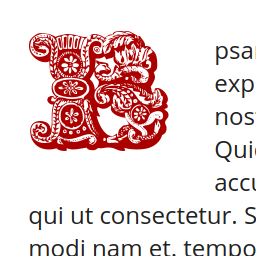 Bukvycja icon
