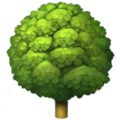 Buy me a Tree icon