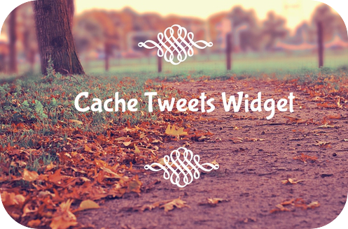 Cache Tweets Widget icon