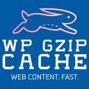 Cache Using Gzip icon
