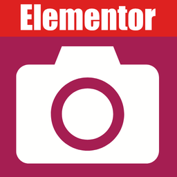 Camera Field for Elementor Forms icon