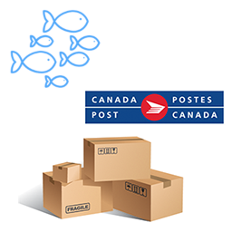 Canada Post Shipping For WooCommerce icon