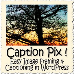 CaptionPix icon