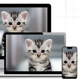 Responsive Images icon