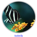 Team Circle Image Slider With Lightbox icon