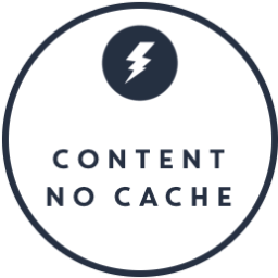Content No Cache | Serve uncached partial content even when you add it to a page that is fully cached. icon