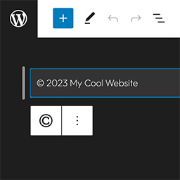 Copyright Footer icon