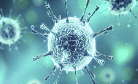 Covid-19 Corona Virus Report icon