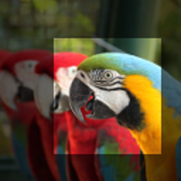 Crop and Resize Images icon