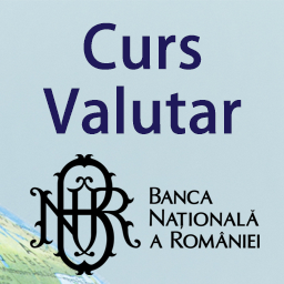 Curs Valutar Live BNR icon