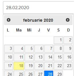 Custom Datepicker NMR icon