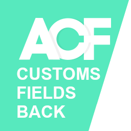 Custom Fields Missing When ACF is Active icon