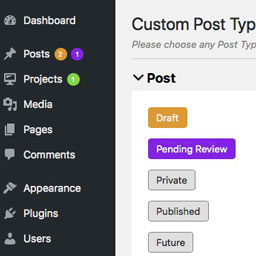 Custom Post Types Bubbles icon