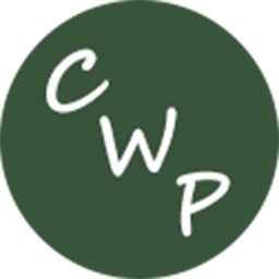 Custom Widget Post icon