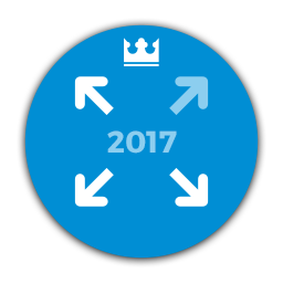 Customize Twenty Seventeen icon