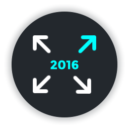 Customize Twenty Sixteen icon