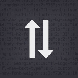 Customizer Export/Import icon