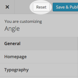 Customizer Backup & Reset icon