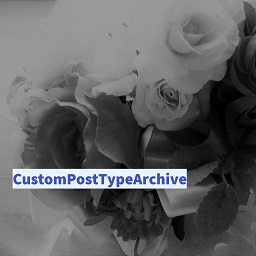 CustomPostTypeArchive icon