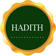 Daily Hadith icon