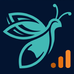 DataFirefly Server-Side icon