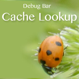 Debug Bar Cache Lookup icon