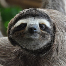 Disable Lazy Load icon